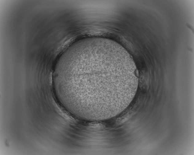 X0000097880454200804041617