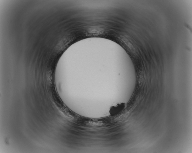 X0000097880455200804041617