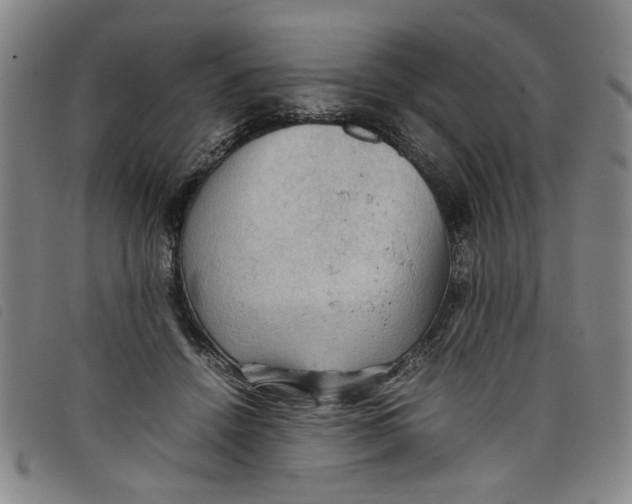 X0000097880456200804041617