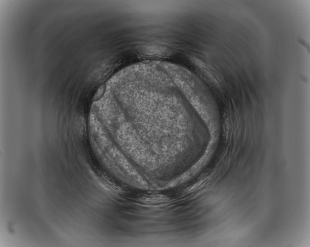 X0000097880459200804041617