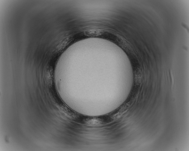 X0000097880460200804041617