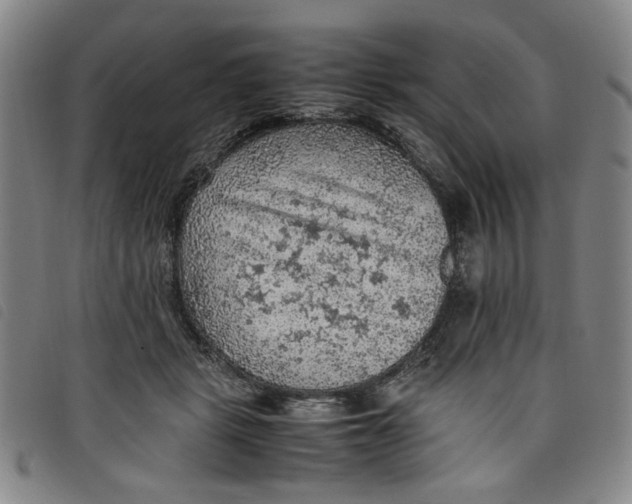 X0000097880461200804041618