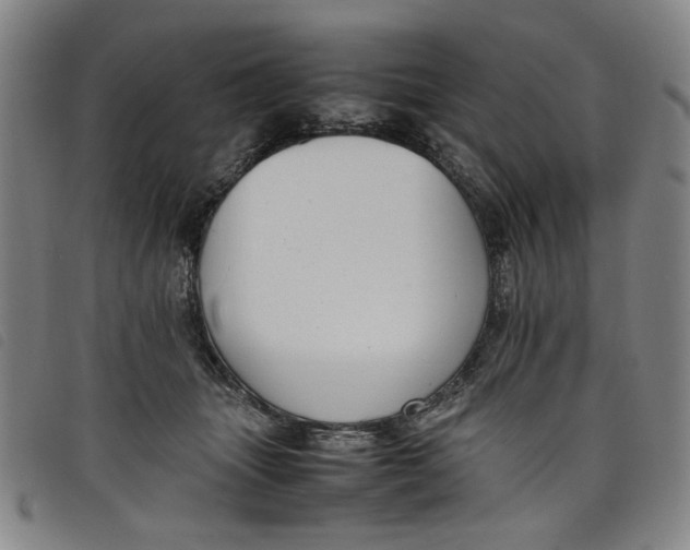 X0000097880463200804041618