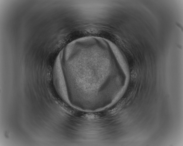 X0000097880464200804041618