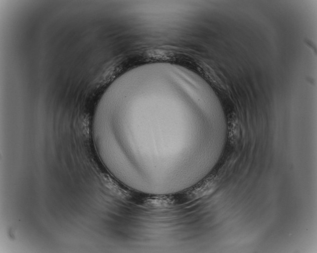 X0000097880466200804041618