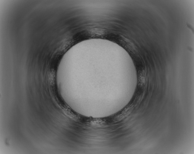 X0000097880468200804041618