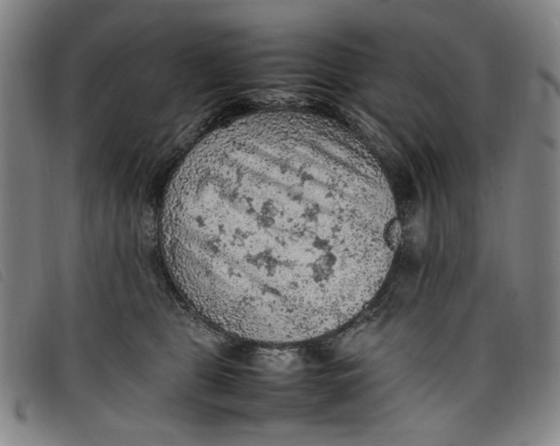 X0000097880469200804041618