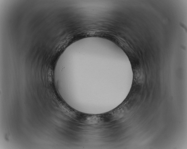 X0000097880470200804041618