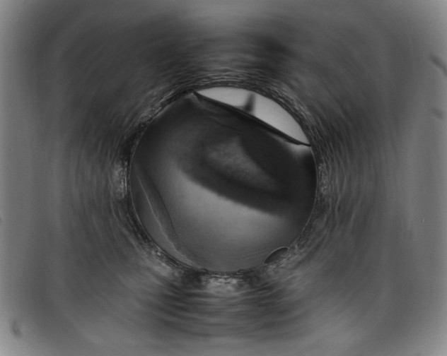 X0000097880471200804041618