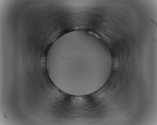 X0000097880475200804041618