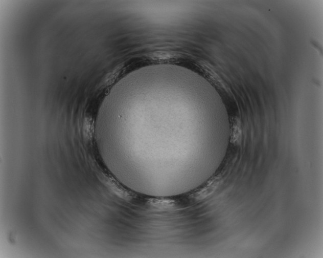 X0000097880476200804041618