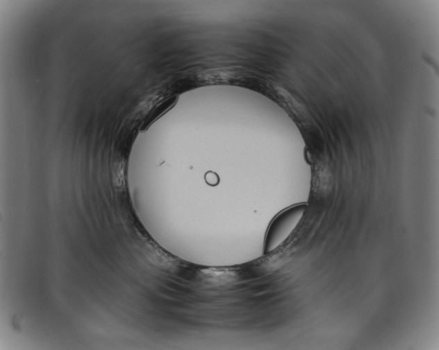 X0000097880477200804041618