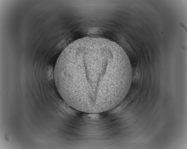 X0000097880478200804041618