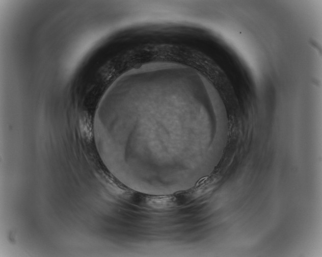 X0000097880479200804041618