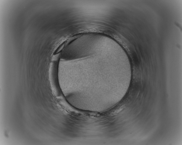 X0000097880481200804041617