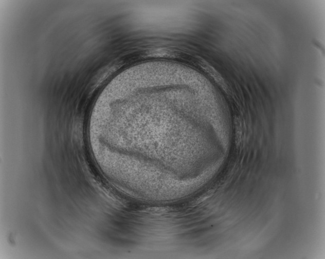 X0000097880482200804041617