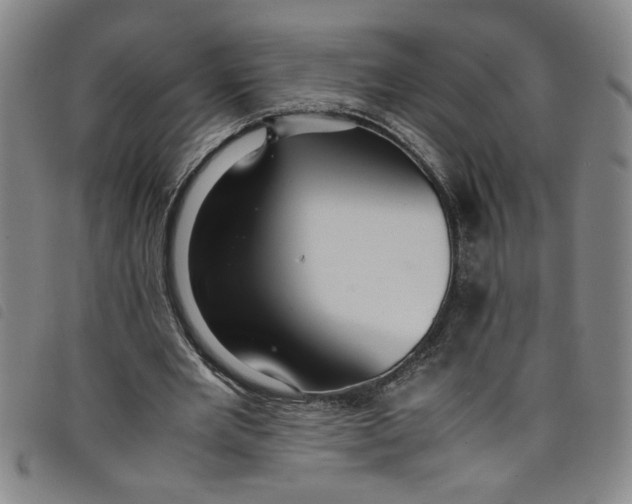 X0000097880485200804041617