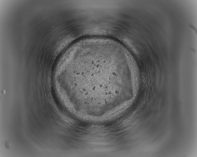 X0000097880487200804041617