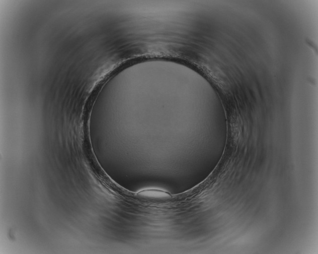 X0000097880488200804041617