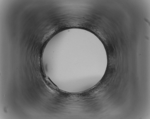 X0000097880489200804041617