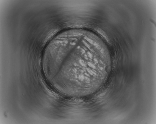 X0000097880491200804041617