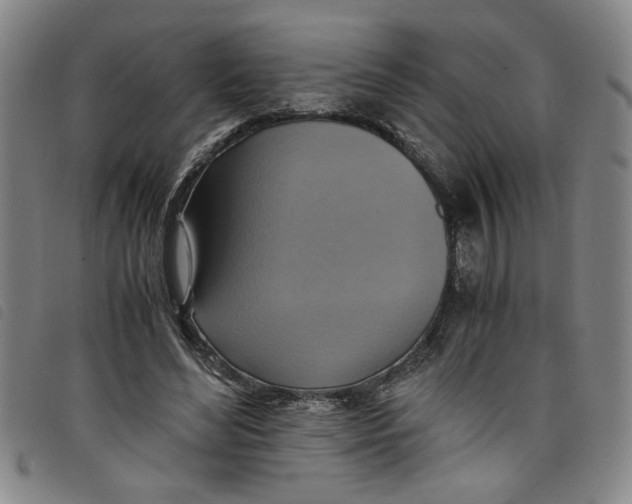 X0000097880492200804041617