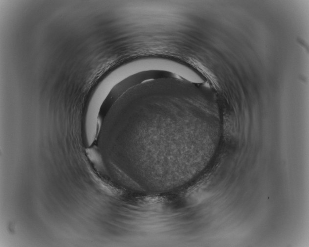 X0000097880493200804041617