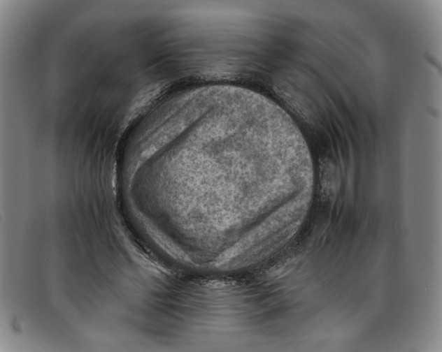 X0000097880494200804041617