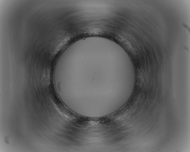 X0000097880496200804041617