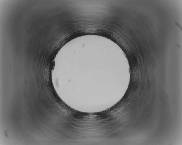 X0000097880497200804041617