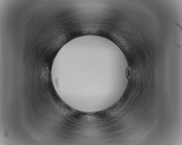 X0000097880498200804041617