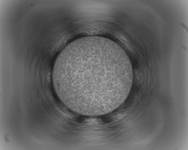 X0000097880499200804041617