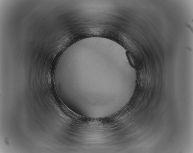 X0000097880500200804041617