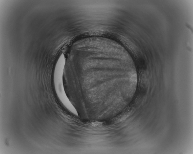 X0000097880501200804041617