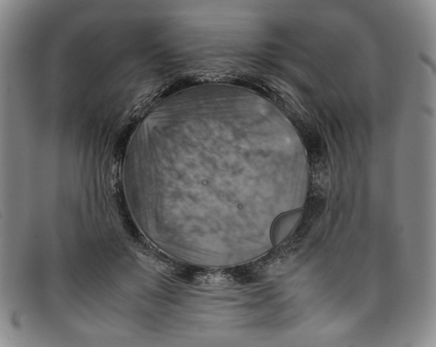 X0000097880503200804041617