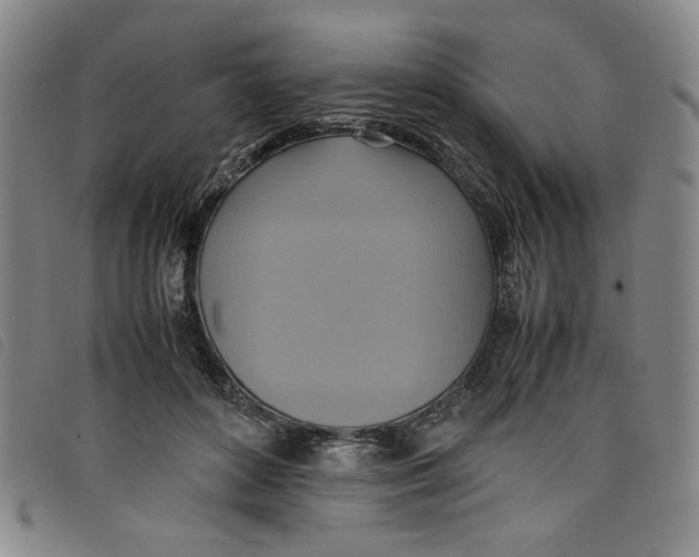 X0000097880504200804041617