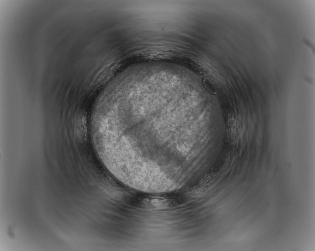 X0000097880506200804041617