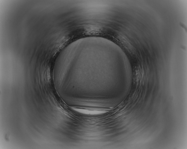 X0000097880508200804041617