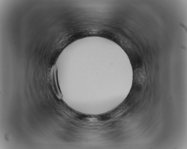 X0000097880509200804041617