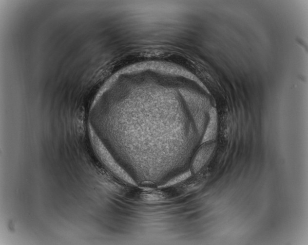 X0000097880510200804041617