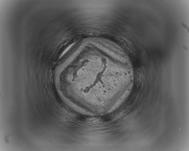 X0000097880511200804041617