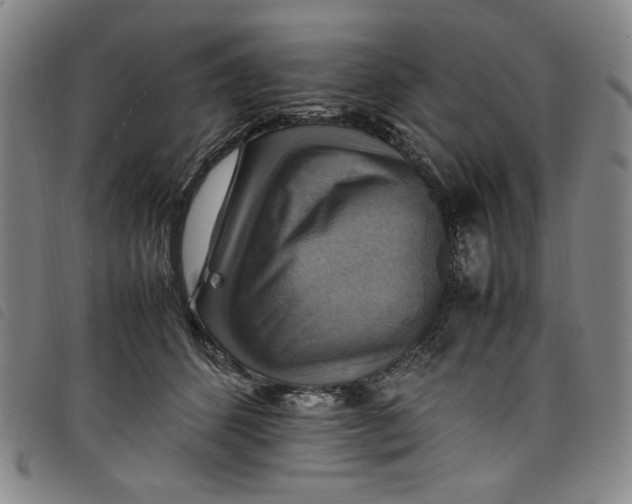 X0000097880512200804041617