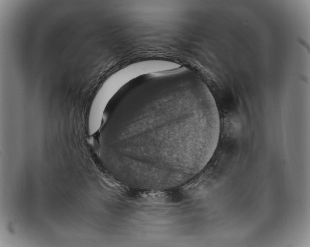 X0000097880517200804041617