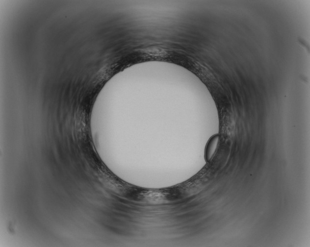 X0000097880518200804041617