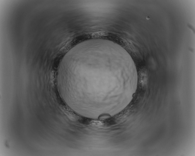 X0000097880519200804041617