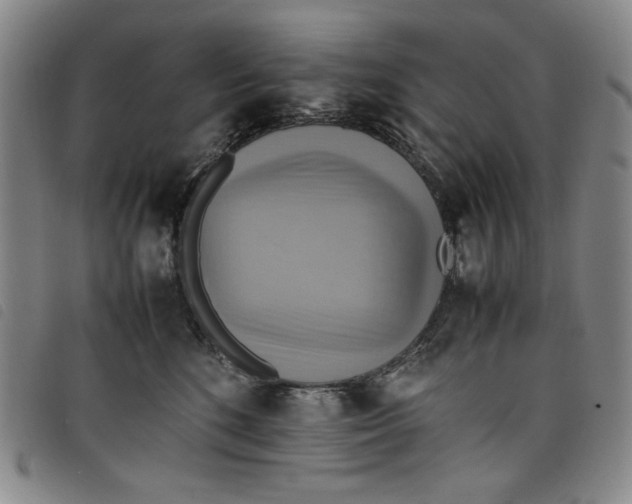 X0000097880520200804041617