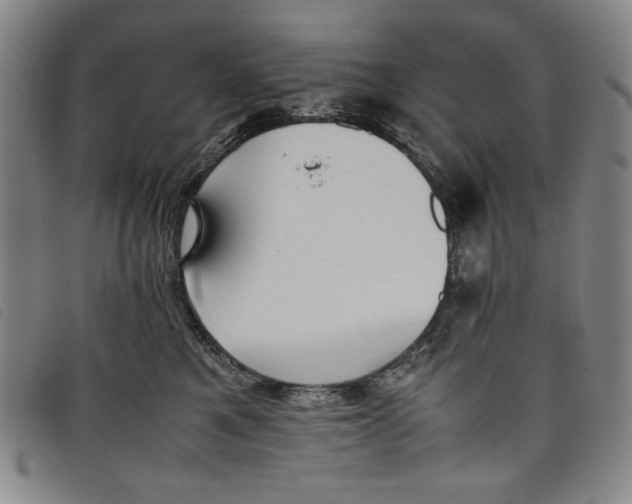 X0000097880521200804041617