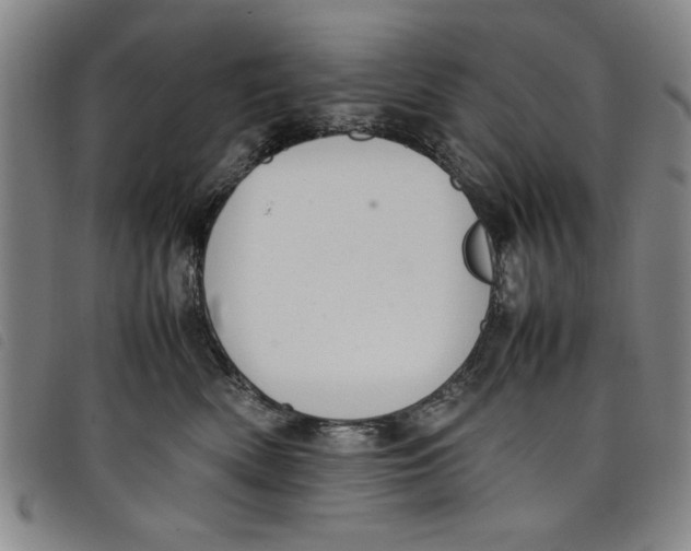 X0000097880522200804041617