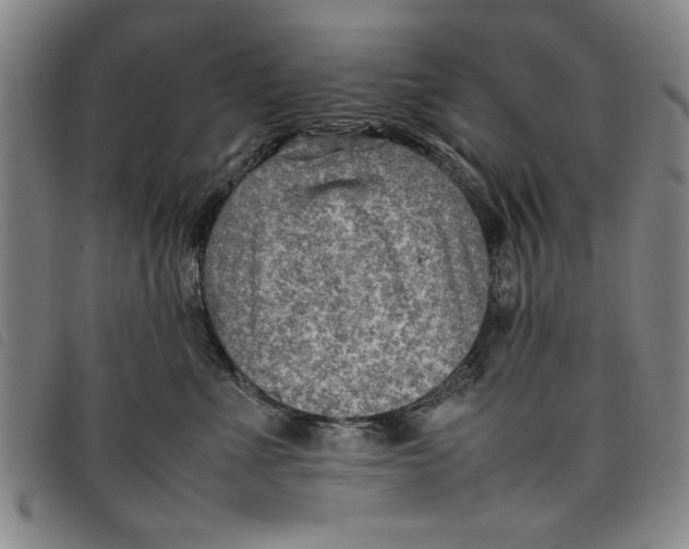 X0000097880523200804041617