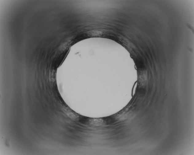 X0000097880525200804041616